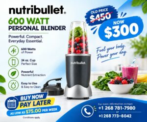 Nutribullet 600 Watt Personal Blender